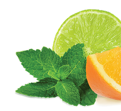 Frische Limette, Orange und Minzblätter auf schwarzem Hintergrund.